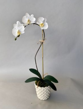 silk orchid floral arrangement