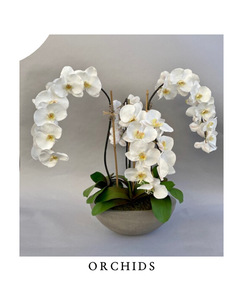 lovely orchid arrangement