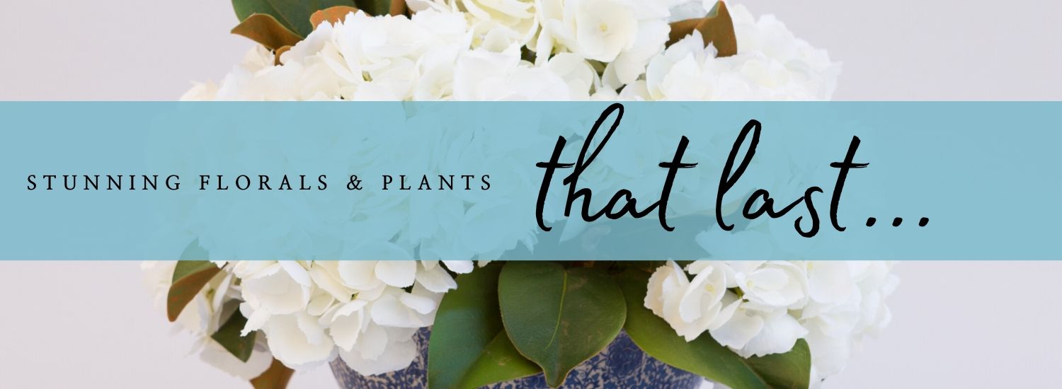 graphic of silk florals with caption: florals and plants that last