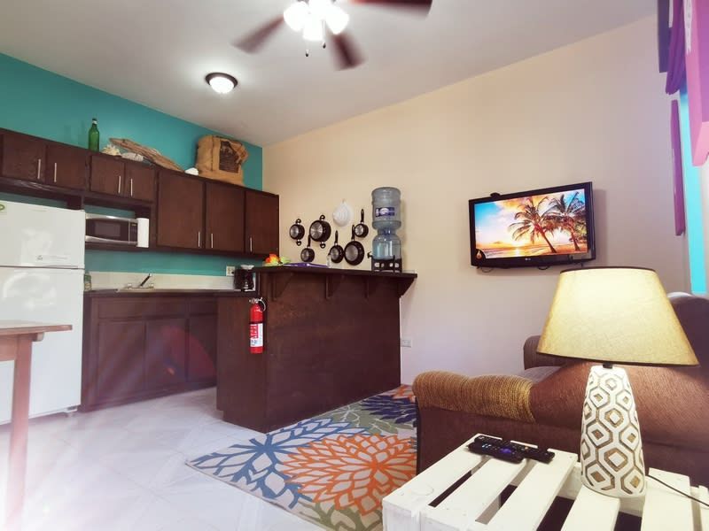 A living room with a couch a lamp and a television