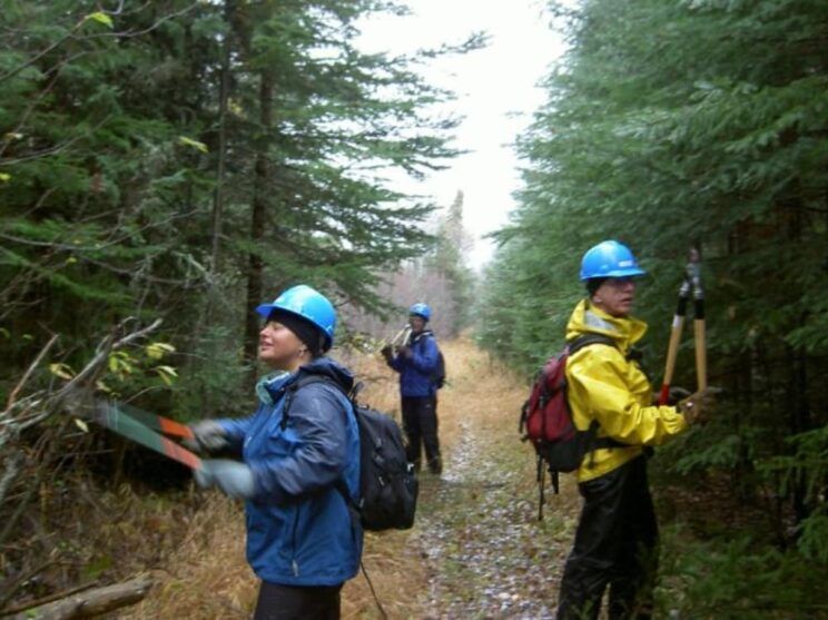 Three people wearing hard hats are working in the woods