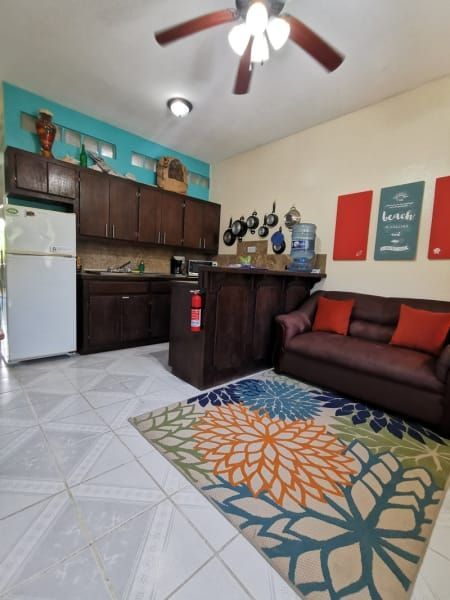 A living room with a couch a rug and a ceiling fan