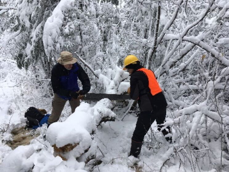 Two people are cutting a tree in the snow.