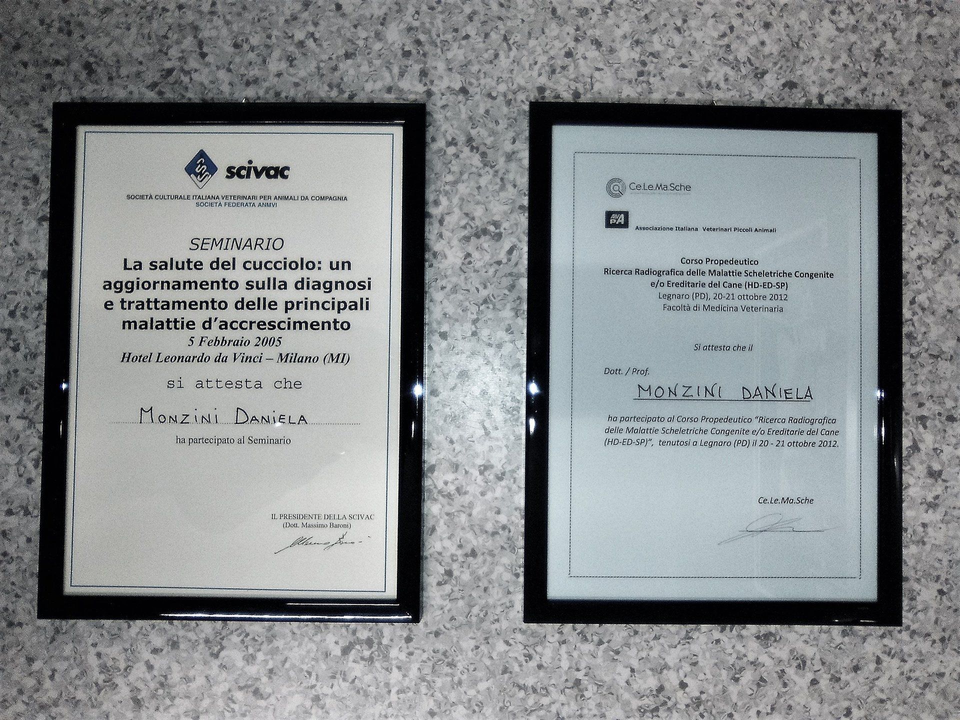 attestati di partecipazione