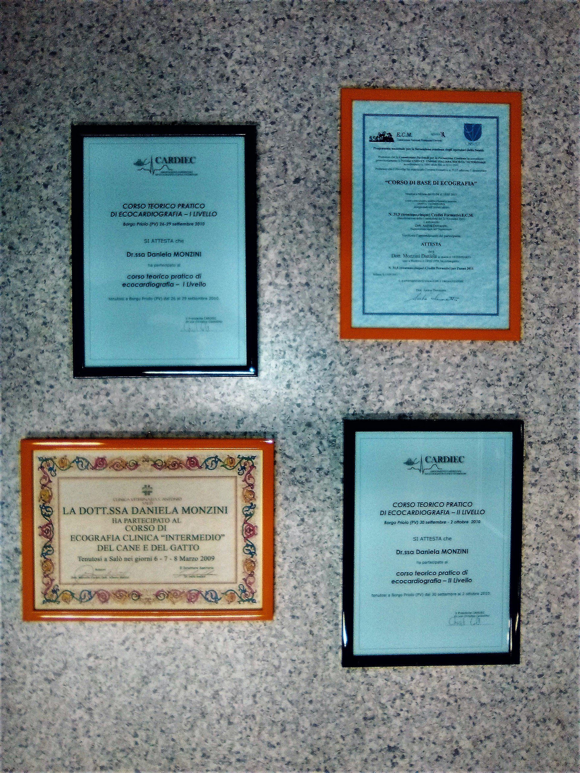 attestati di partecipazione