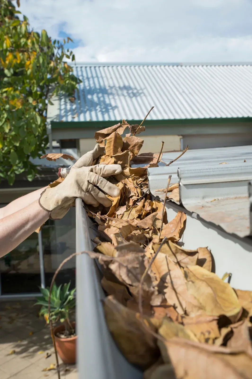 Person wearing gloves cleans dried leaves from a gutter on a house.
