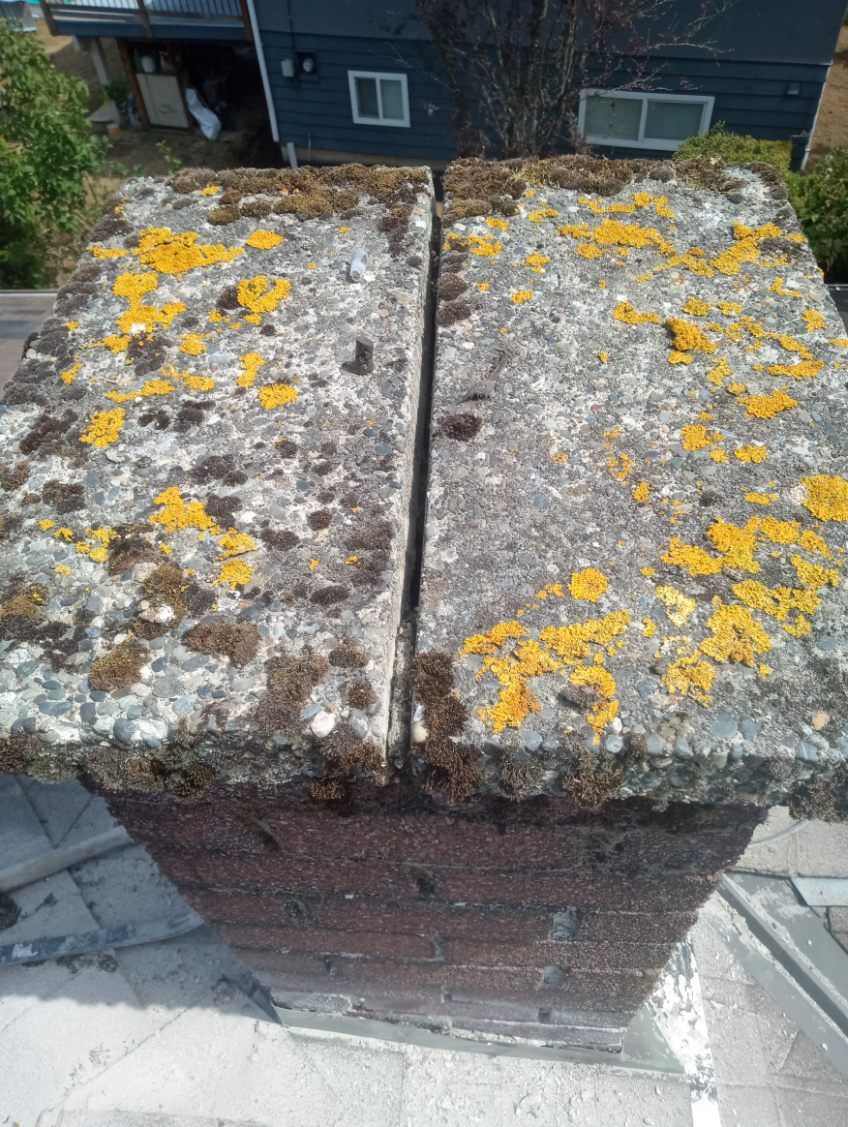 A chimney with yellow moss growing on it is sitting on top of a roof.