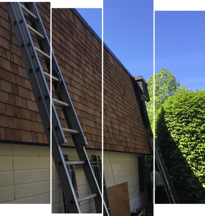 A ladder is attached to the side of a house