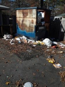 A dumpster filled with trash is sitting on the side of the road.