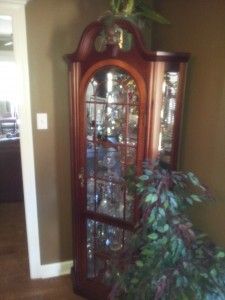 A corner curio cabinet is sitting in a living room next to a plant.