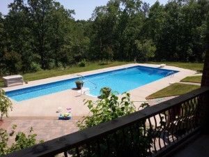 A large swimming pool is surrounded by trees on a sunny day