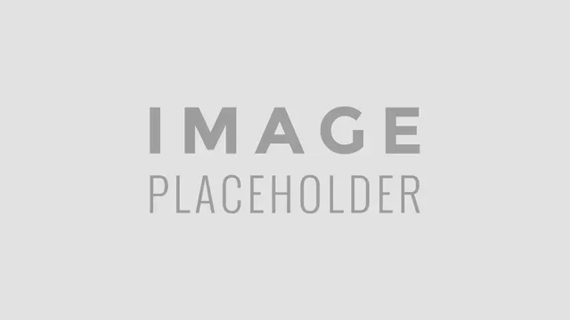 A standard gray placeholder image with the words "IMAGE PLACEHOLDER" centered in dark gray text.