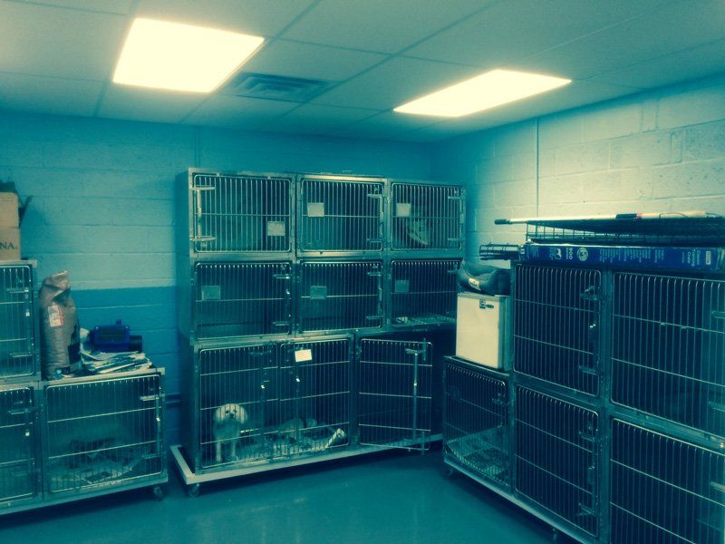 Animal Cages — Walnut Creek, CA — TGI Builders