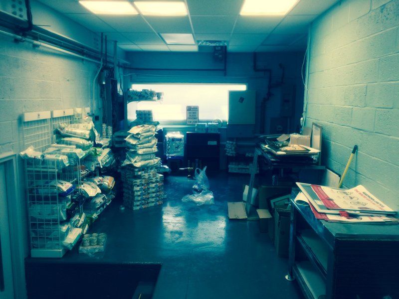 Animal Hospital — Walnut Creek, CA — TGI Builders