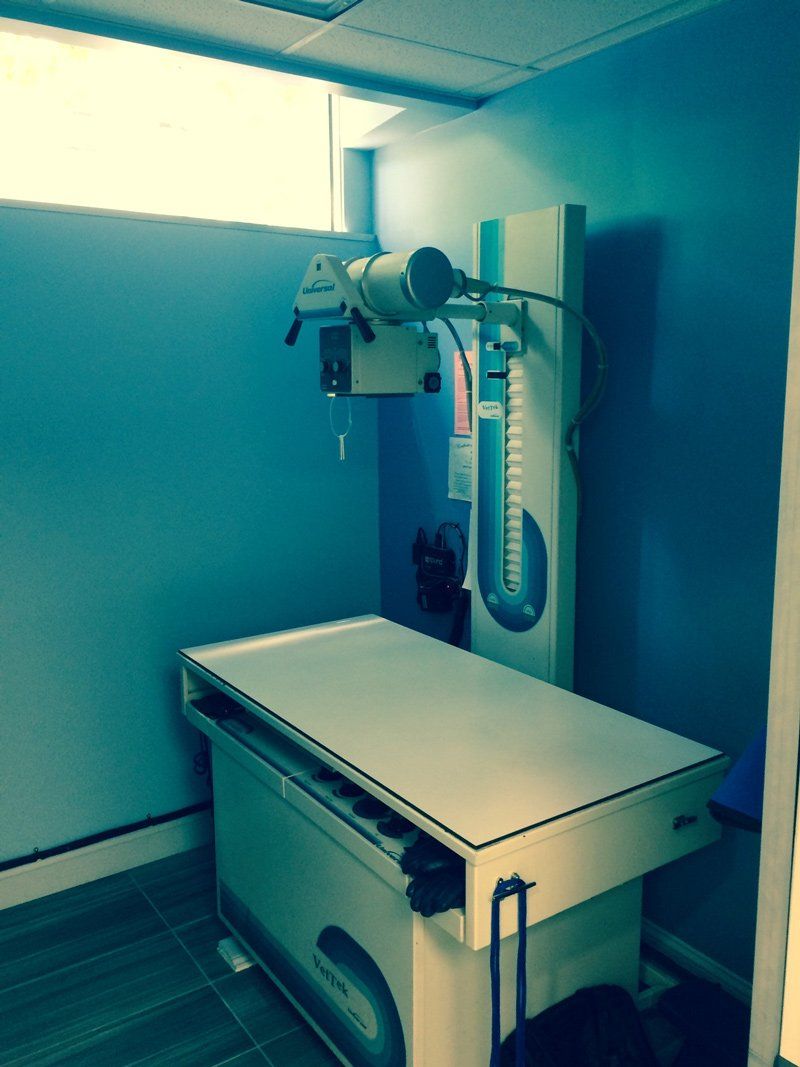 Veterinarian Rad Room System — Walnut Creek, CA — TGI Builders