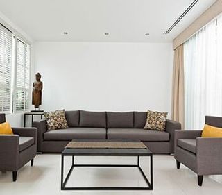 Bright Living room with grey sofa—upholstery and repair in Annapolis, MD