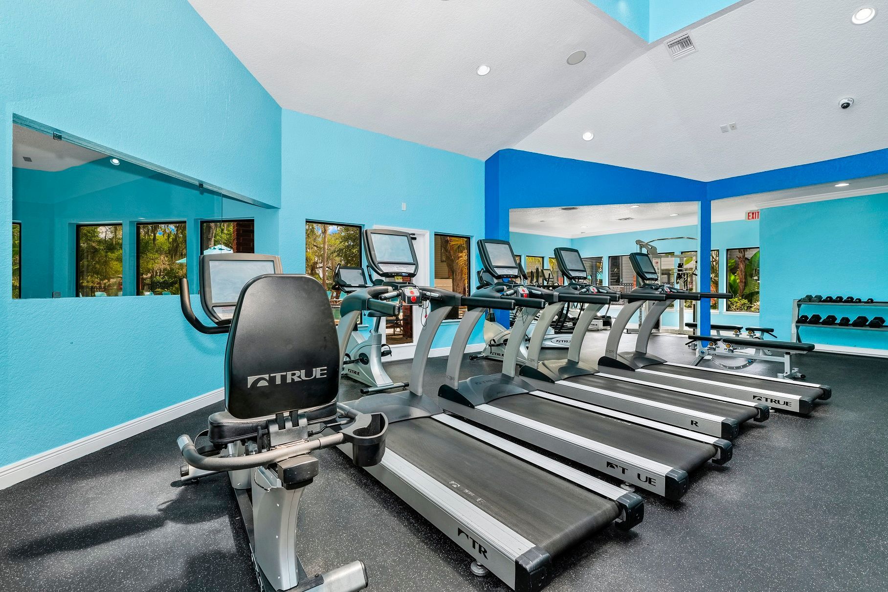 Gym with blue walls, treadmills, and an exercise bike at Timberlake in Altamonte Springs, FL.