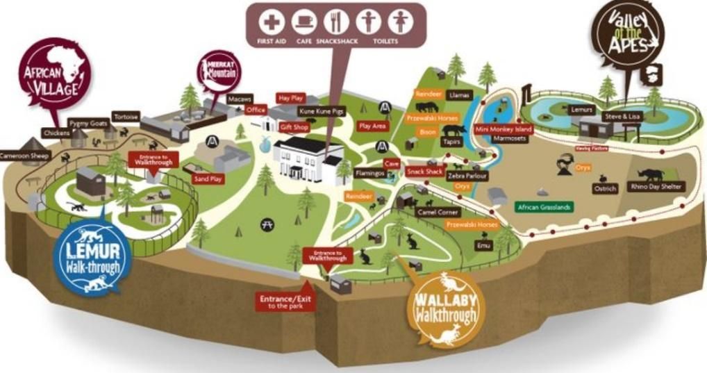 A map of a zoo with a lot of animals on it