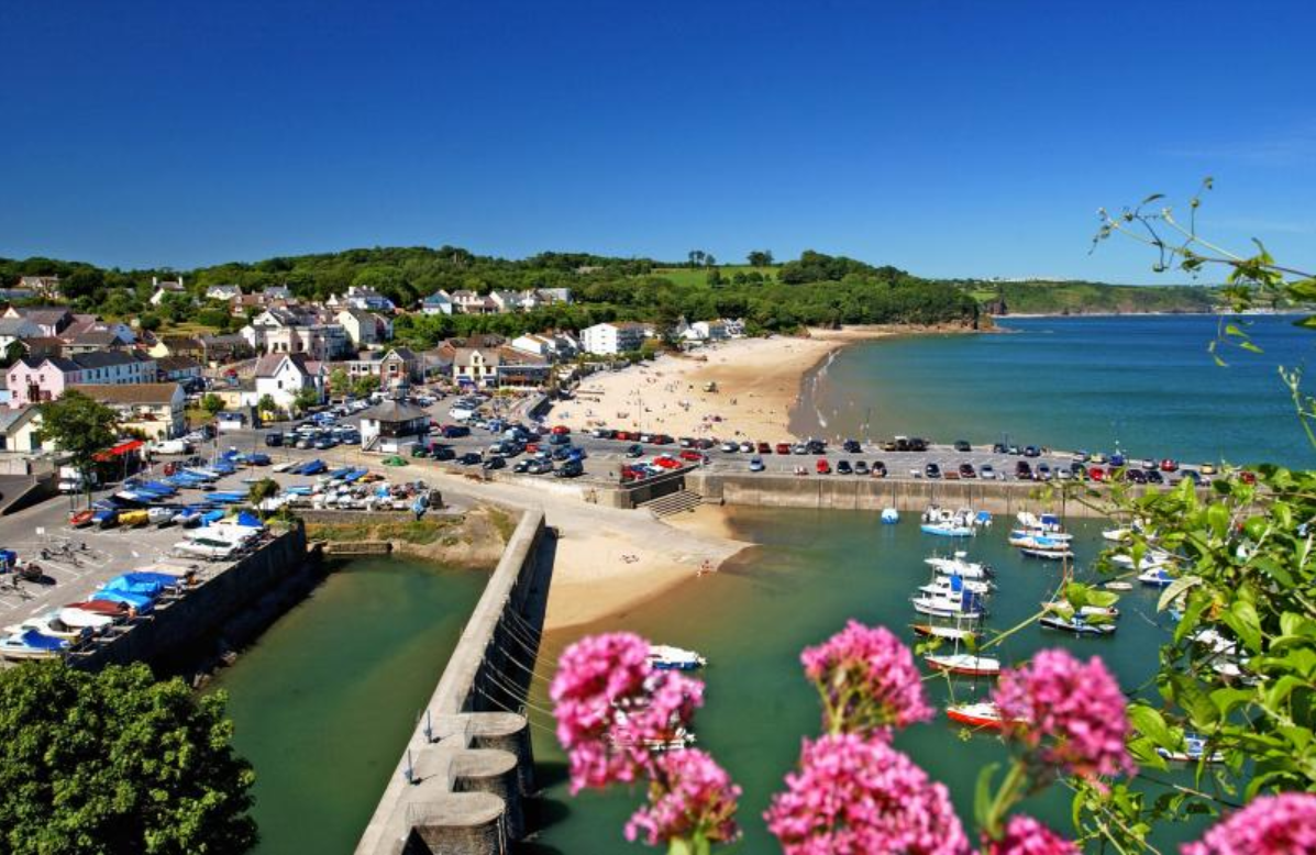 A view of a harbor with pink flowers in the foreground.