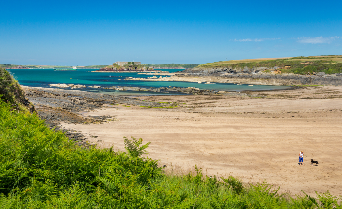 A couple of people are walking their dogs on a beach.
