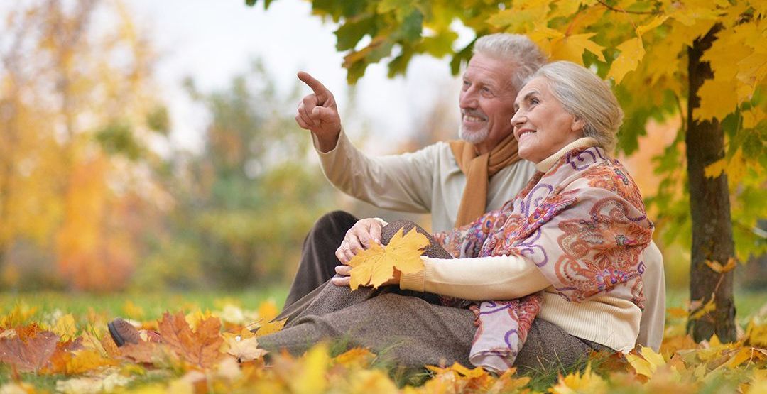 an elderly couple is sitting in the leaves under a tree .