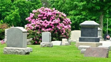 cemetery