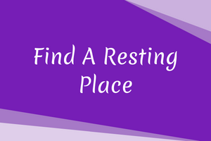 find a resting place