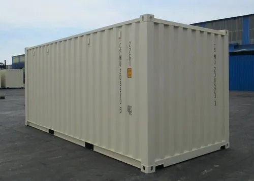 20' Standard New Container