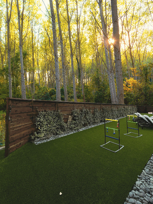 A verdant backyard with a wooden fence, green grass, trees, and golden sunlight.