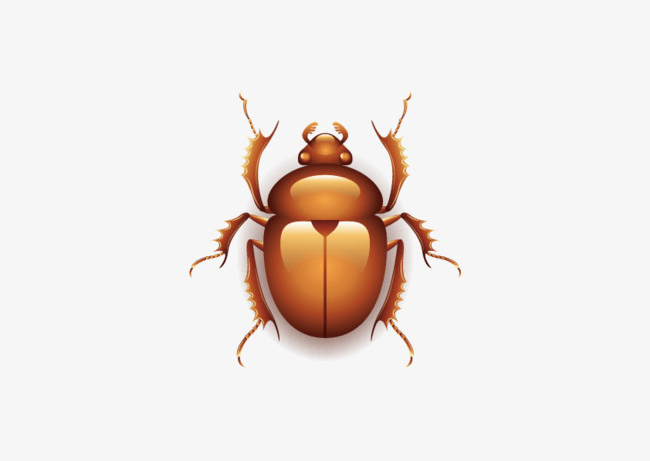 an illustration of a brown beetle on a white background