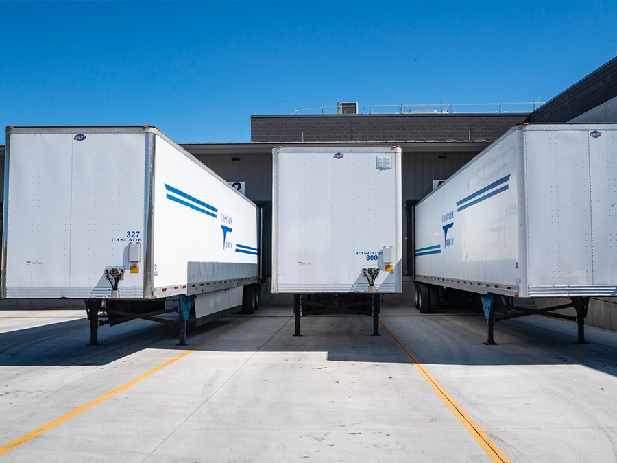 A row of white semi trucks are parked in a parking lot.