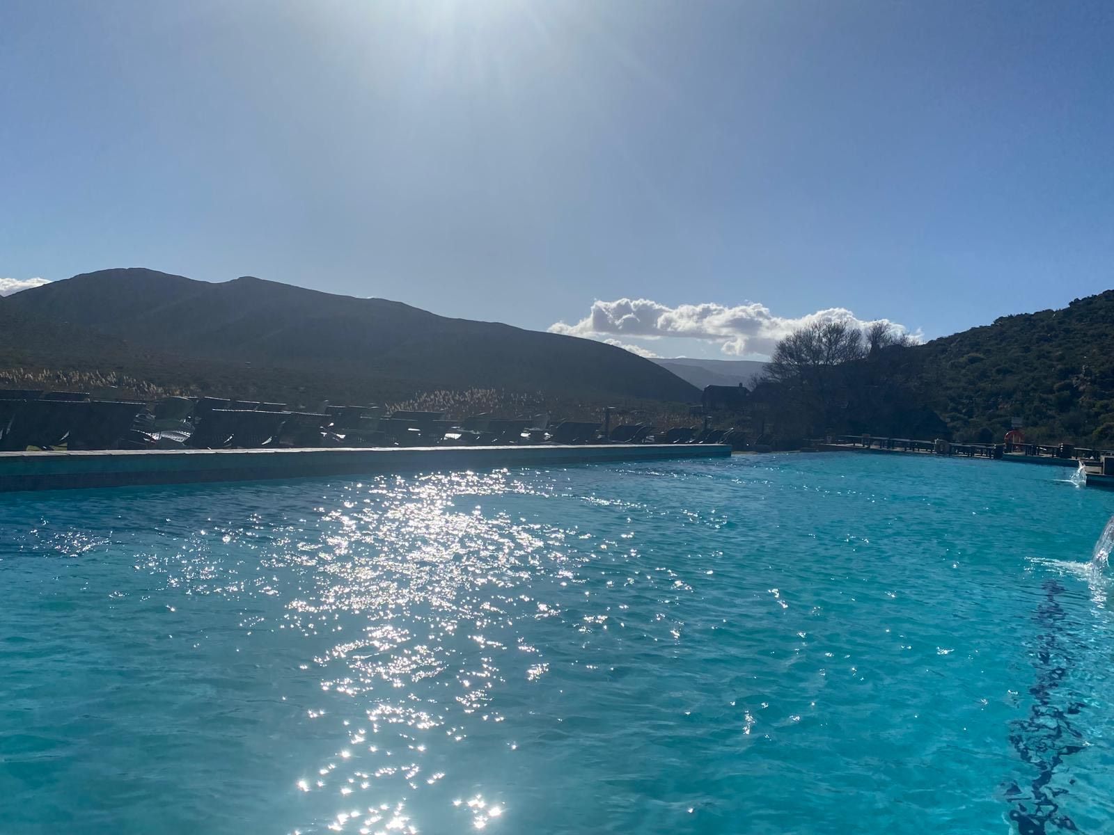 Beachfront chalets next to palm trees