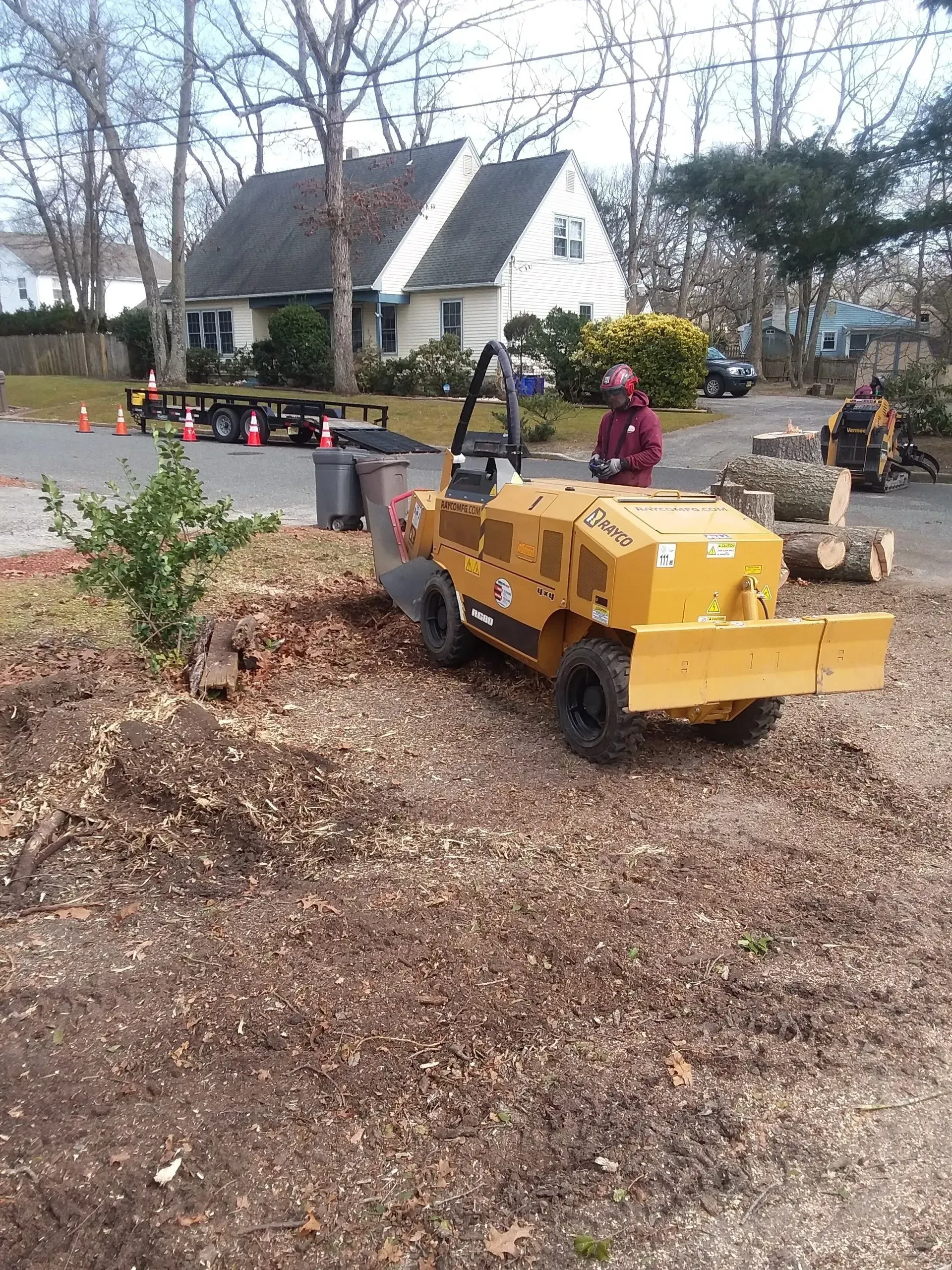 Stump Grinder - Egg Harbor Township, NJ - Tree Man Tree Service