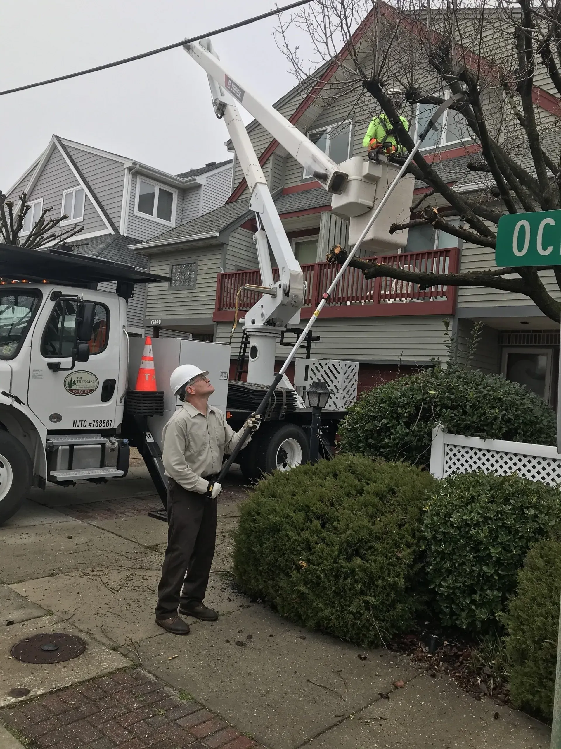 Man Wearing White Hard Hat - Egg Harbor Township, NJ - Tree Man Tree Service