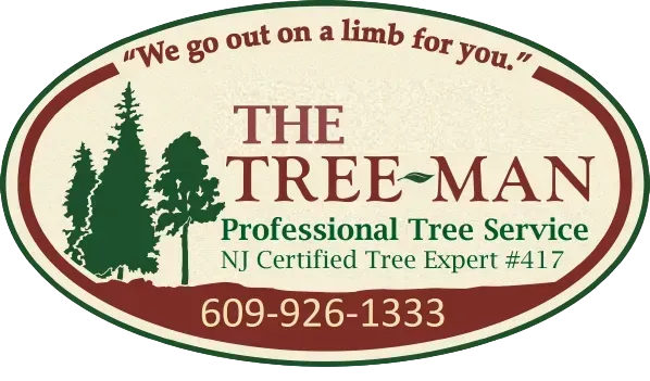 Tree Man Tree Service