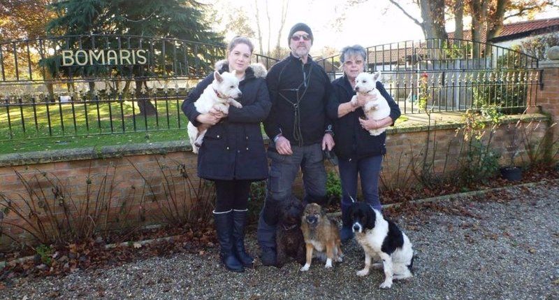 Bring your dogs to Bomaris Boarding Kennels in Norwich