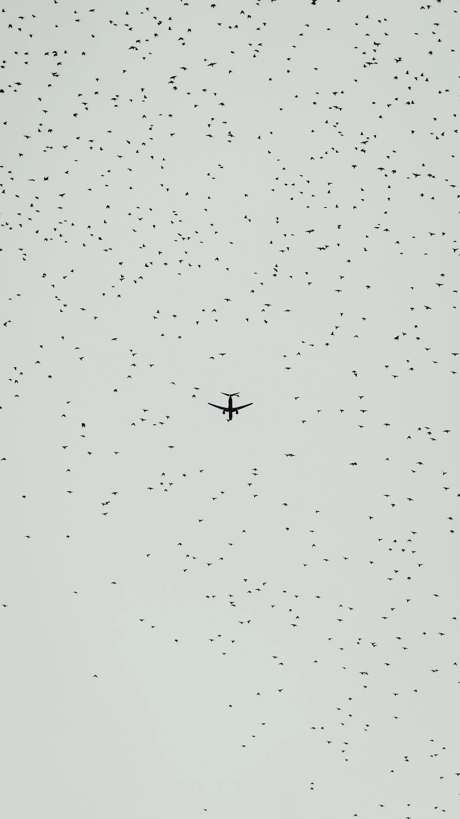 Et lite fly flyr gjennom en overskyet himmel