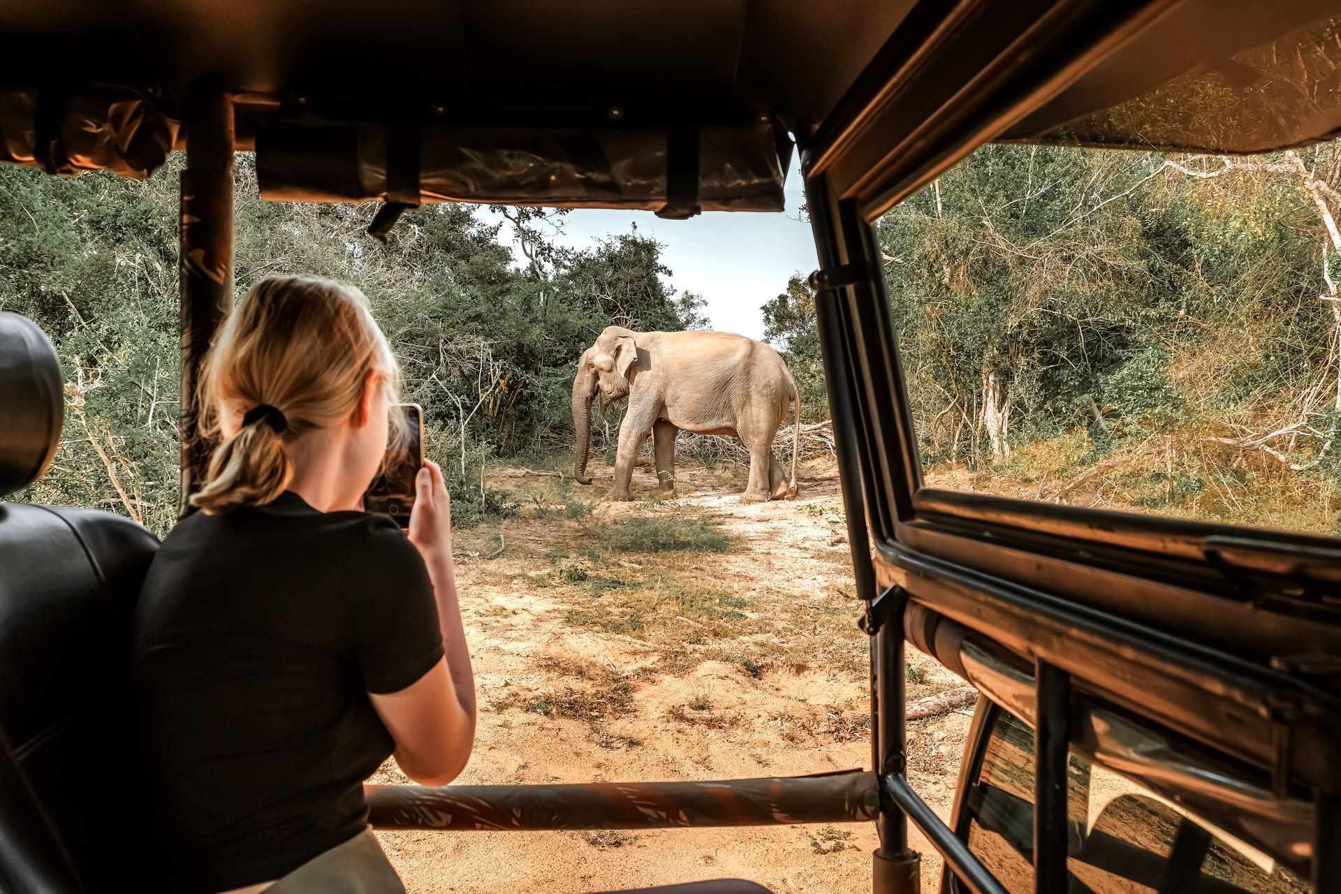En rad med fargerike strandhytter på en strand.