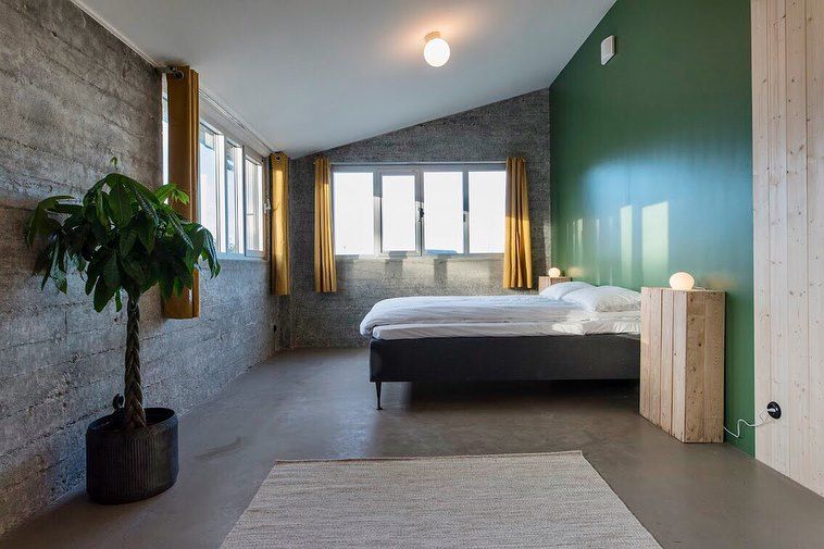 Et soverom med to senger, en plante og en grønn vegg.