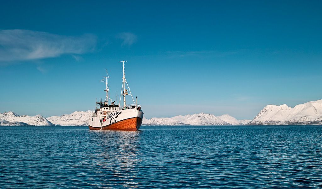 En båt flyter på toppen av en stor vannmasse.