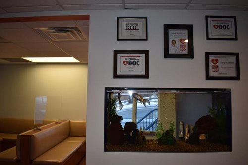 Office waiting area with tan seating, framed awards on the wall, and a small aquarium display.