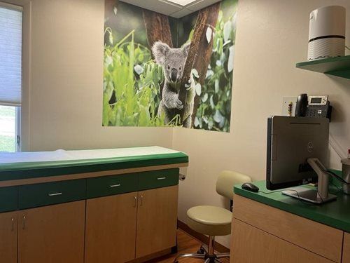 Veterinary exam room with exam table, chair, and large wall mural of a koala on a tree