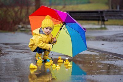 Child in yellow raincoat and hat with rainbow umbrella, standing in puddles beside yellow ducks.