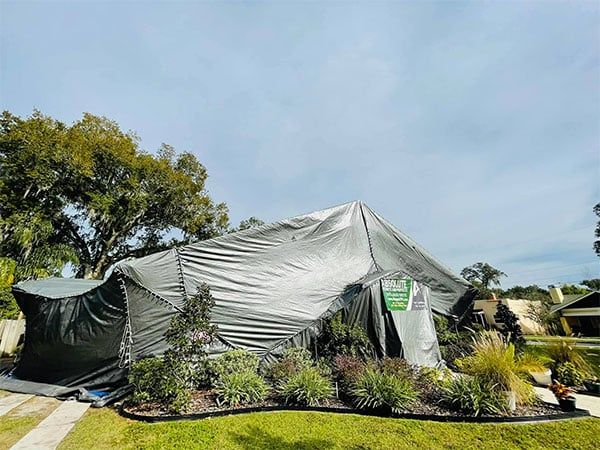 A Picture Of Pest Control Tent - Lakeland, FL - Absolute Termite and Pests LLC