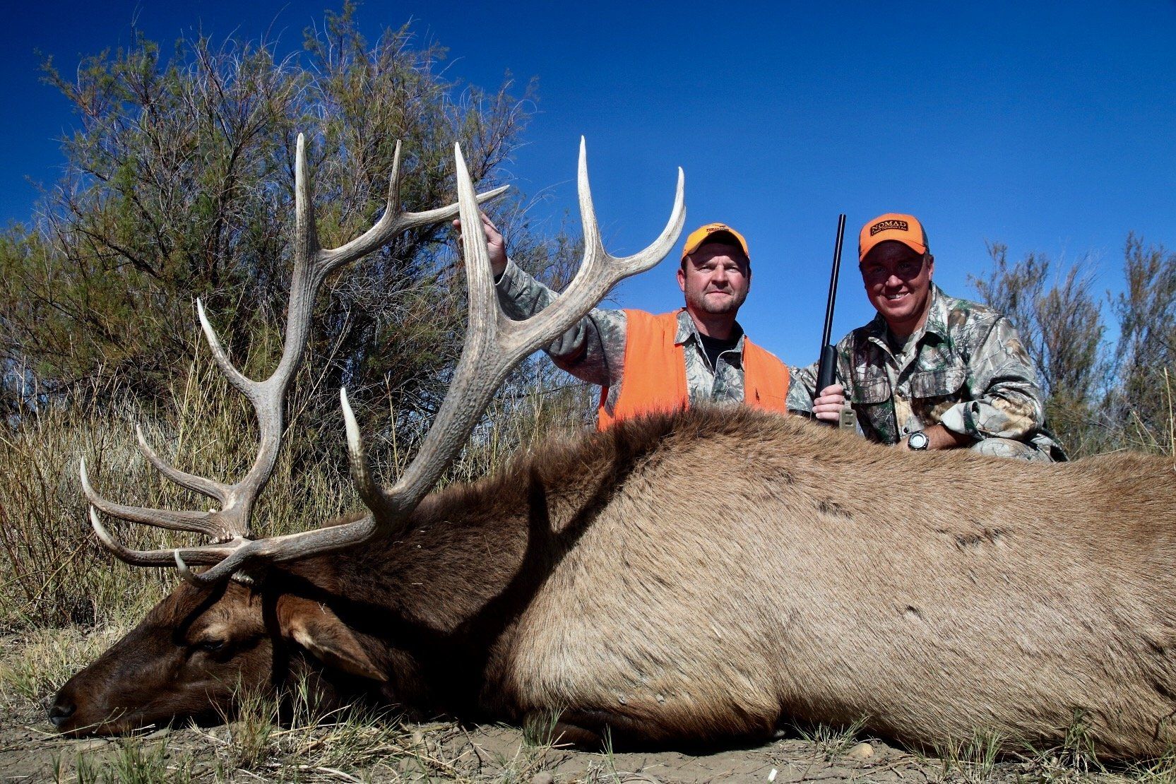 Fulldraw Outfitters Colorado Big Game Hunts
