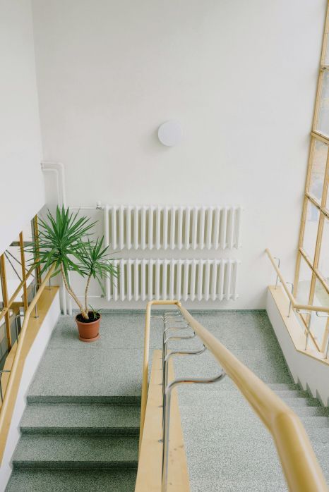 A staircase with a potted plant on the floor and a radiator on the wall.