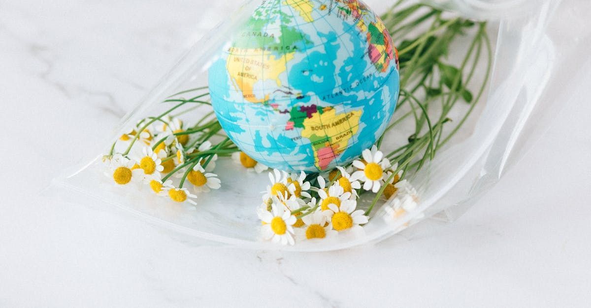 A globe is sitting on top of a plate with daisies.