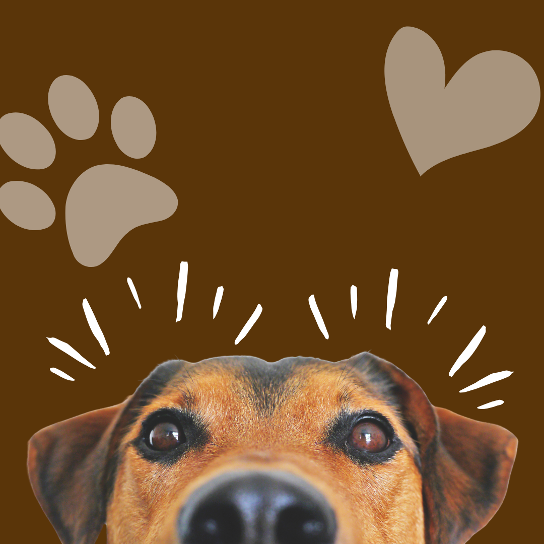 A close up of a dog 's face with paw prints and hearts behind it