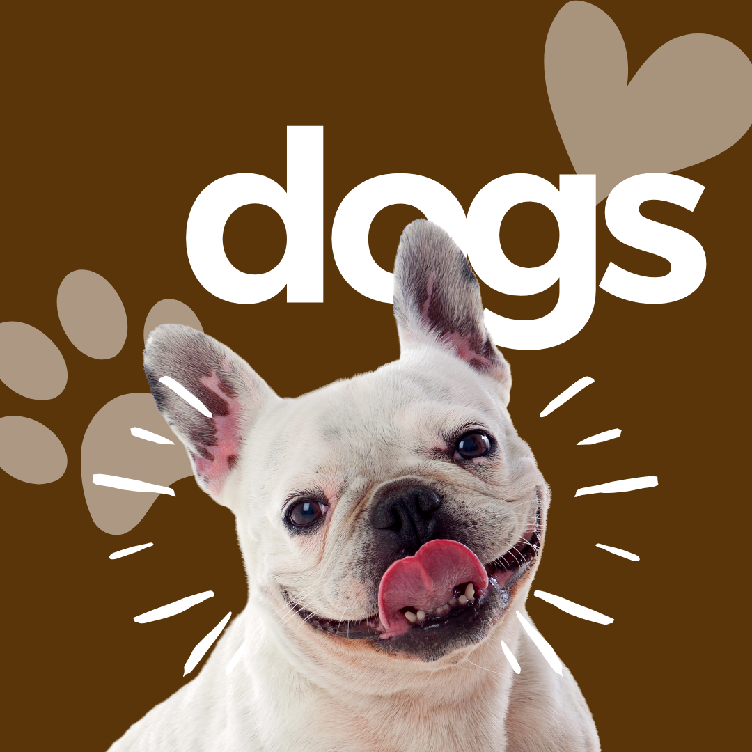 Residential Dog Waste Removal Company in Macomb, MI