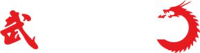 dragon store logo
